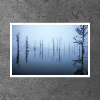 Delaney Lake Conservation Area