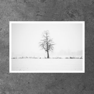 Solitude