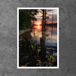 Delaney Lake Conservation Area