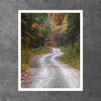 Autumn Road