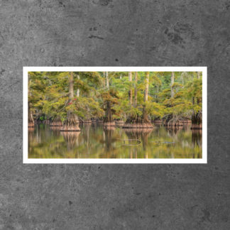 Horseshoe Lake Consveration Area