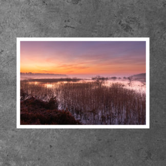 Ten Mile Pond Conservation Area