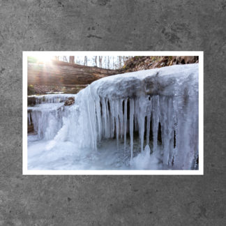 Panther Den Wilderness