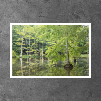 Mingo National Wildlife Refuge